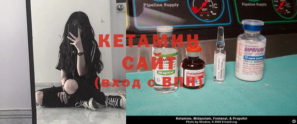 гидра Бородино