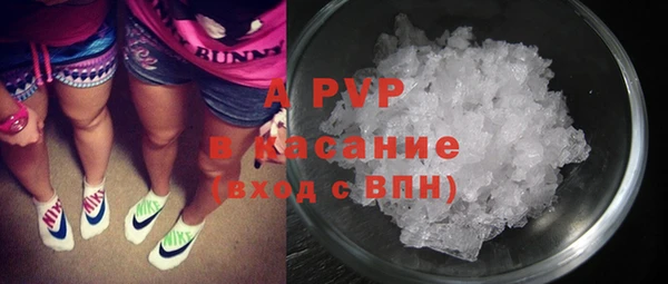 СК Бронницы