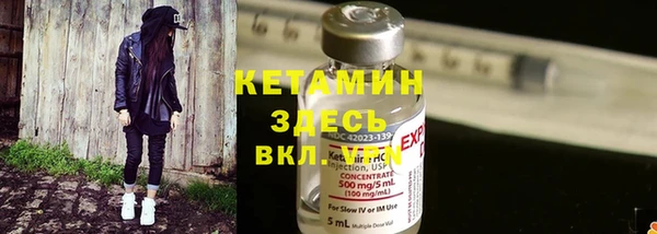 крисы Богородицк