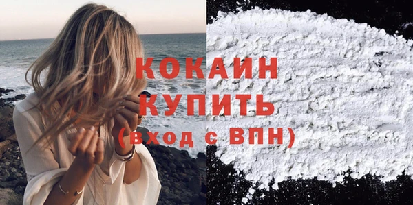 СК Бронницы