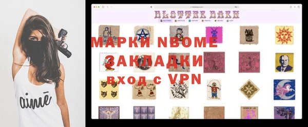 гидра Бородино