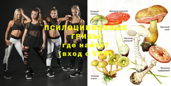 крисы Богородицк