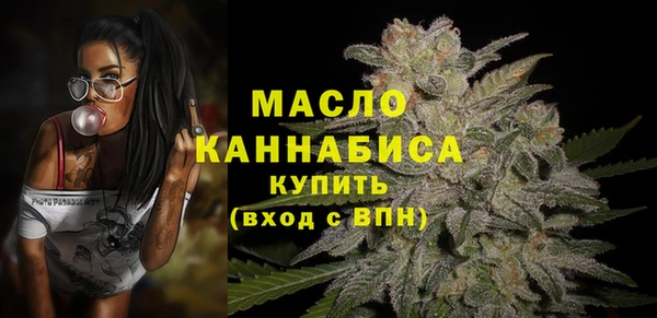 гидра Бородино