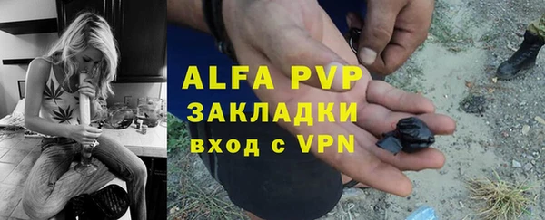 гидра Бородино