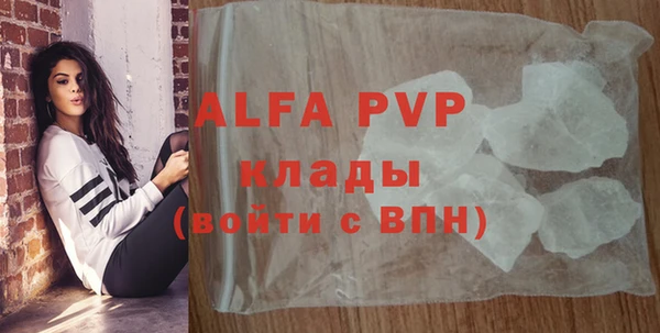 крисы Богородицк