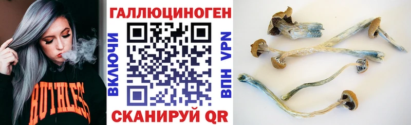 площадка формула  Наро-Фоминск  Псилоцибиновые грибы GOLDEN TEACHER 