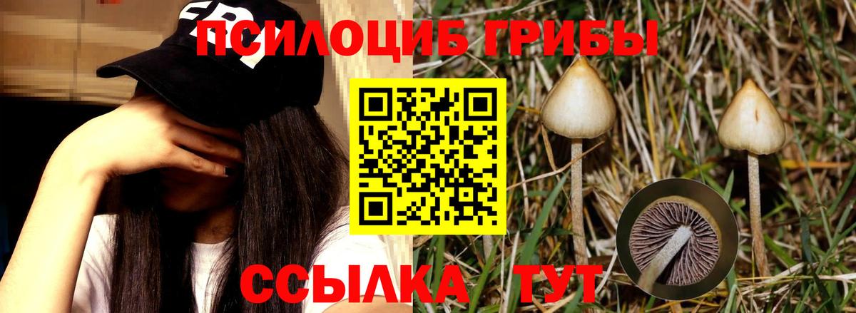 Галлюциногенные грибы мухоморы Наро-Фоминск